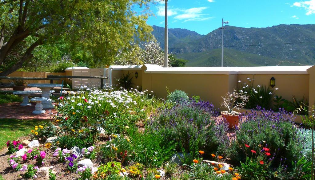Anchorage Inn Guesthouse Montagu Exterior photo